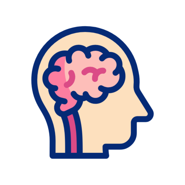 brain